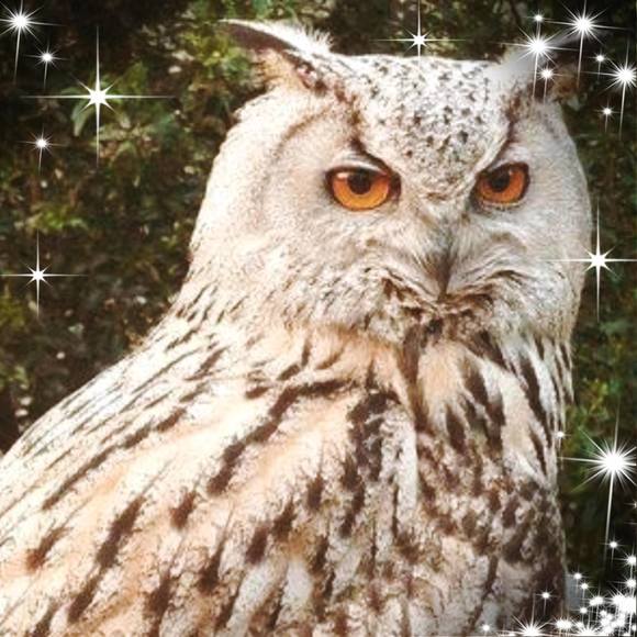 Meet your Posher, Renee - Picture 1 of 1